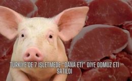 Türkiye’de 7 İşletmede “Dana Eti” Diye Domuz Eti Satıldı