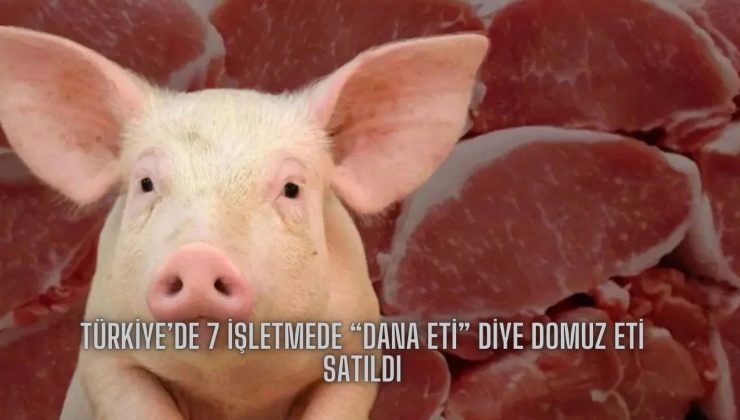 Türkiye’de 7 İşletmede “Dana Eti” Diye Domuz Eti Satıldı