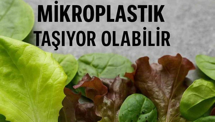 Salatanızdan Bedeninize Mikroplastik: Görünmeyen Tehdit