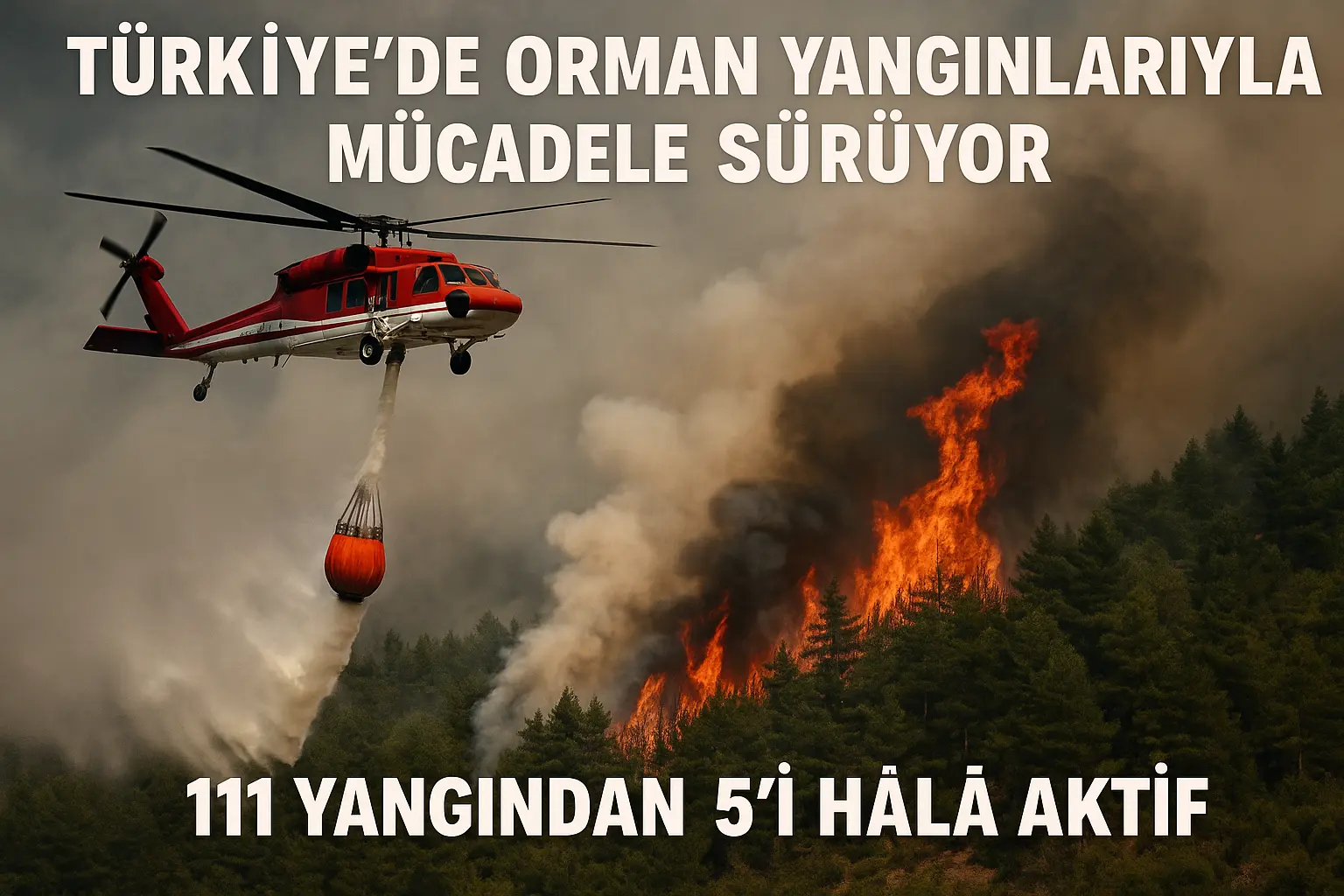 Türkiye orman yangını