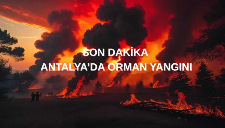 Son Dakika : Antalya’da Orman Yangını 25.07.2025