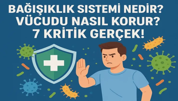 Bağışıklık Sistemi Nedir? Vücudu Nasıl Korur? 7 Kritik Gerçek!