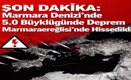 SON DAKİKA: Marmara Denizi’nde 5.0 Büyüklüğünde Deprem İstanbul Ve Çevre İllerde Hissedildi